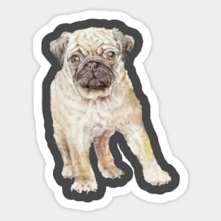 Pug Puppy Sticker